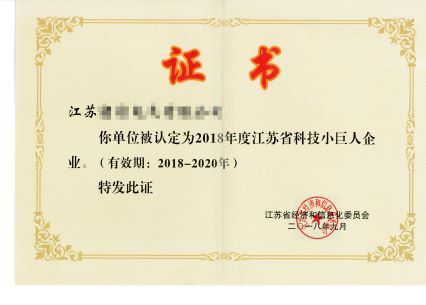 江苏省科技小巨人-2.jpg